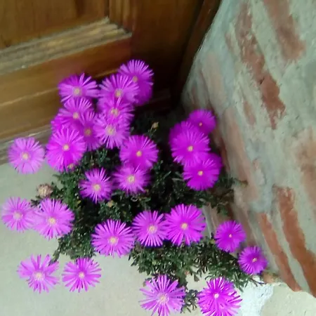 Casa Vacanze La Campanella *